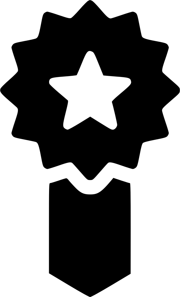 Premium Quality Top Medal Ribbon Achievement Star Comments - Premium Quality Top Medal Ribbon Achievement Star Comments (594x980)