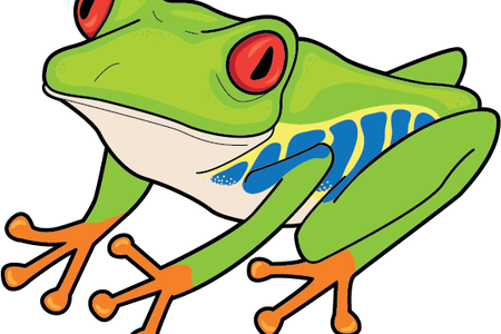 Red Eyed Tree Frog Clipart Jungle - Red Eyed Tree Frog Clipart Jungle (450x300)