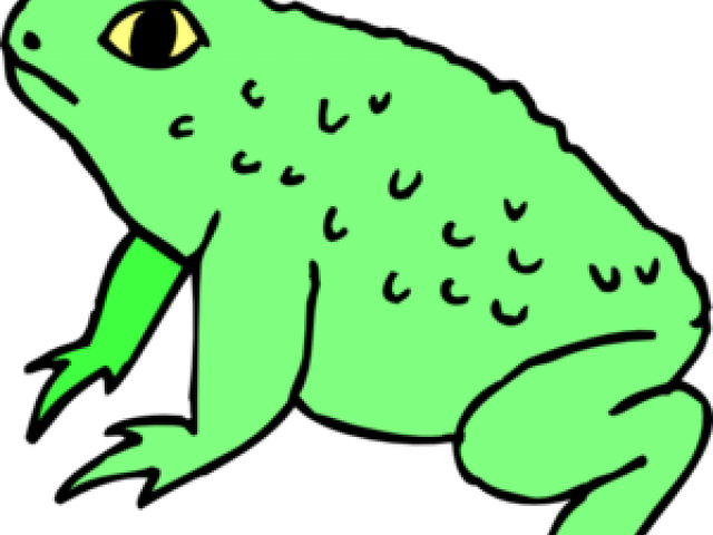 13 Green Frog Clipart Katak Free Clip Art Stock Illustrations - 13 Green Frog Clipart Katak Free Clip Art Stock Illustrations (640x480)