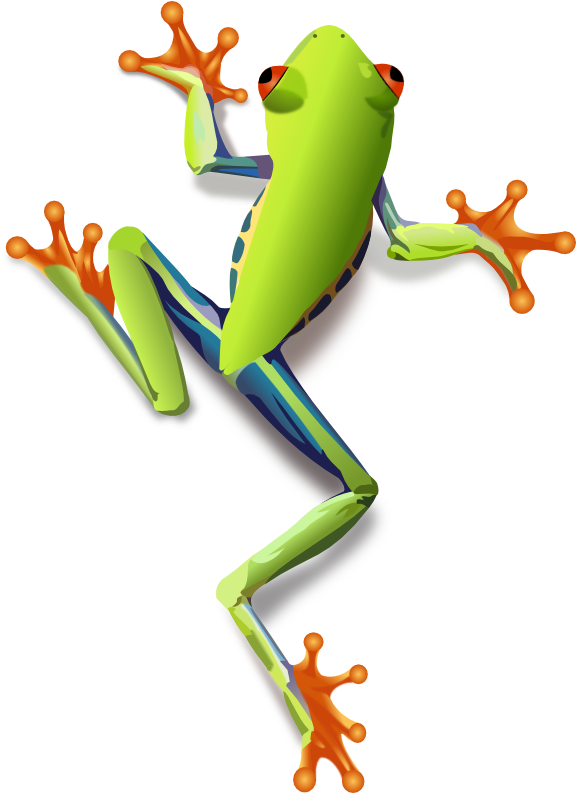 Clip Art Black And White Download Animals F Frogs Png - Clip Art Black And White Download Animals F Frogs Png (584x800)