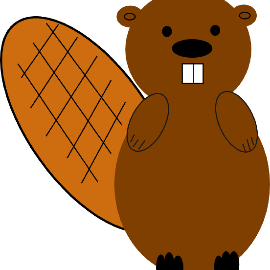 Clipart Beaver Beaver No Smile Clip Art At Clker Vector - Clipart Beaver Beaver No Smile Clip Art At Clker Vector (1024x1024)