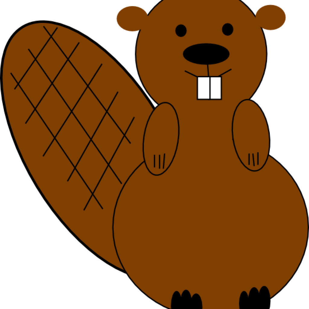 Бобер рисунок