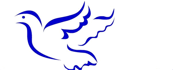 Welcome To Holy Family - Welcome To Holy Family (733x272)