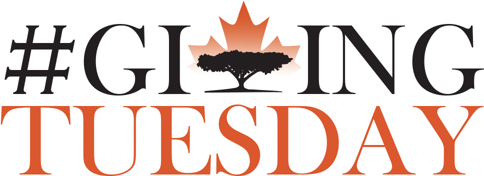 November 21, - November 21, (1000x361)