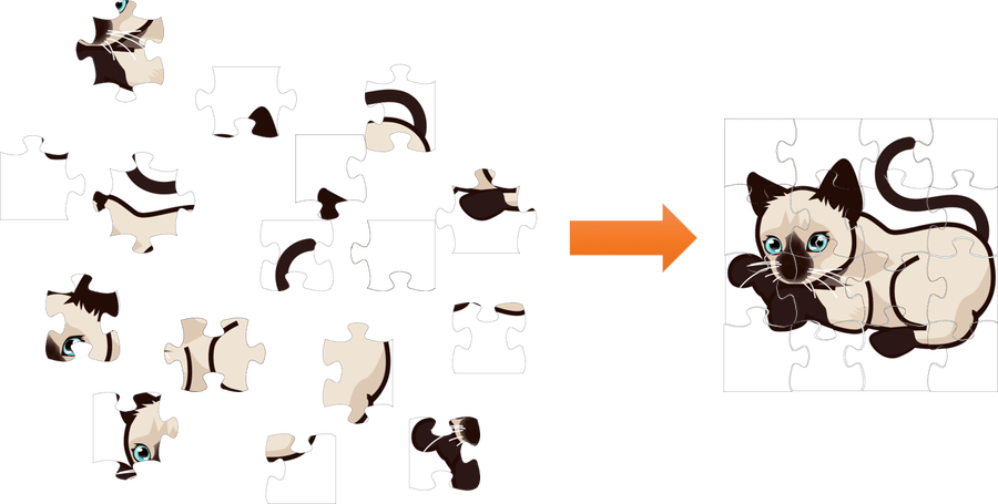 Cat-haplo#assembly - Cat-haplo#assembly (900x455)