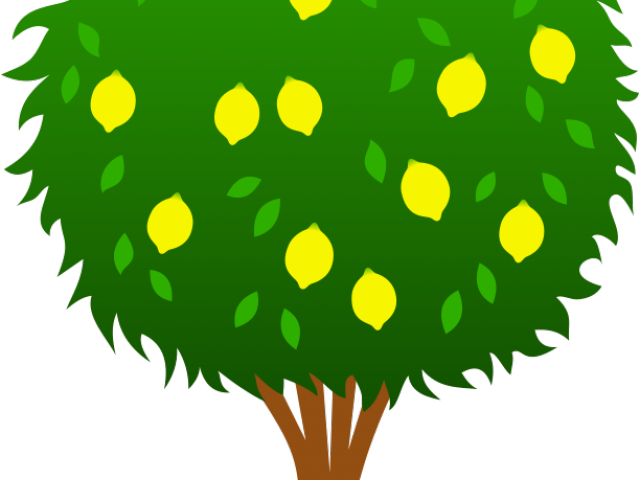 Tree Clipart Clipart Fruit Tree - Tree Clipart Clipart Fruit Tree (640x480)