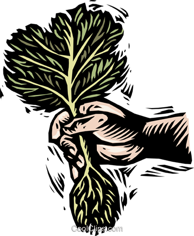 Planting A Small Tree Royalty Free Vector Clip Art - Planting A Small Tree Royalty Free Vector Clip Art (395x480)