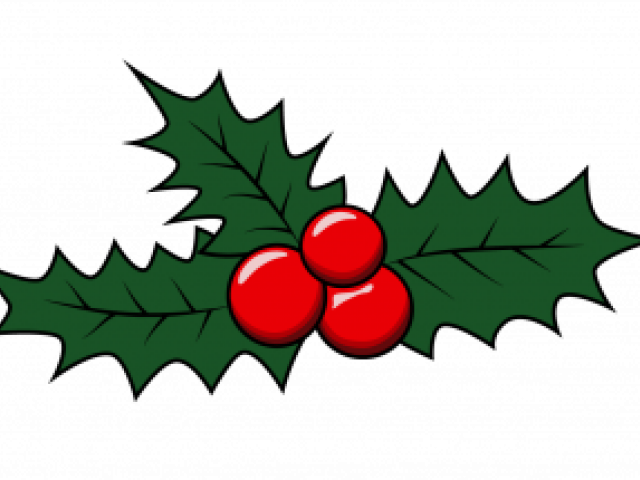 How To Draw A Shark Free Download - How To Draw A Shark Free Download (640x480)