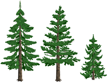 400 X 300 29 - 400 X 300 29 (400x300)