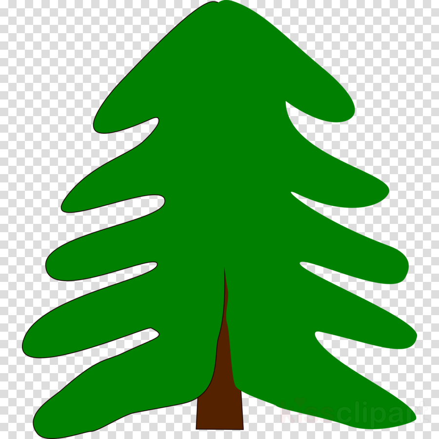 Pine Tree Cartoon Clipart Pine Clip Art - Pine Tree Cartoon Clipart Pine Clip Art (900x900)