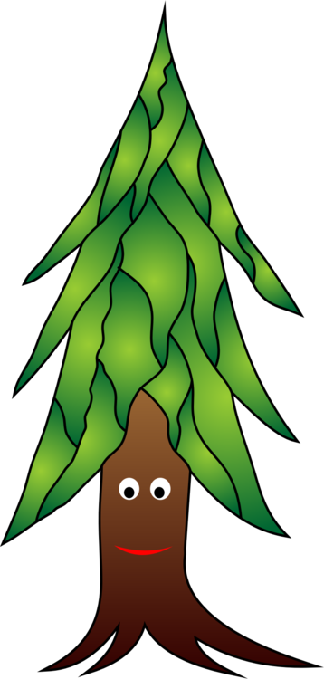 Christmas Tree Spruce Fir Christmas Ornament - Christmas Tree Spruce Fir Christmas Ornament (358x750)