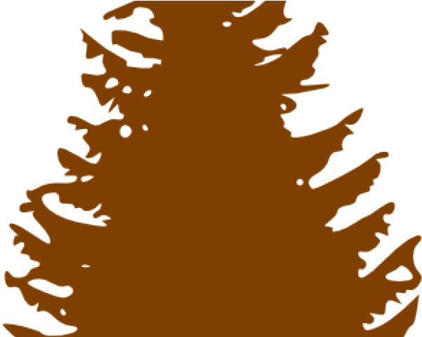 Fir Tree Clipart Lodgepole Pine - Fir Tree Clipart Lodgepole Pine (640x480)