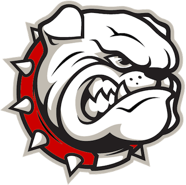 Bulldog Png Transparent Bulldogpng Images Pluspng - Bulldog Png Transparent Bulldogpng Images Pluspng (375x373)