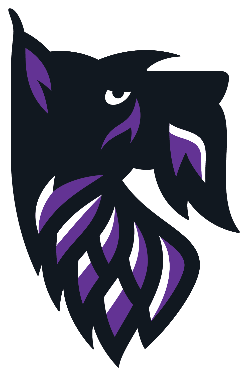 Agnes Scott College Scotties - Agnes Scott College Scotties (990x1500)