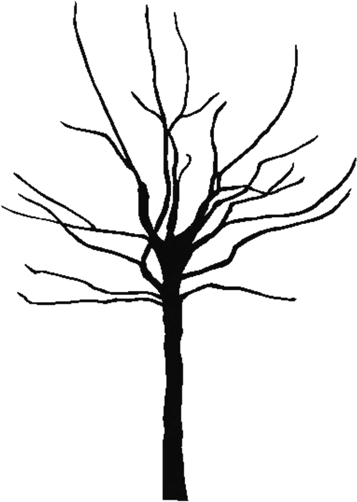 Medium Size Of Coloring Pages - Medium Size Of Coloring Pages (728x1003)