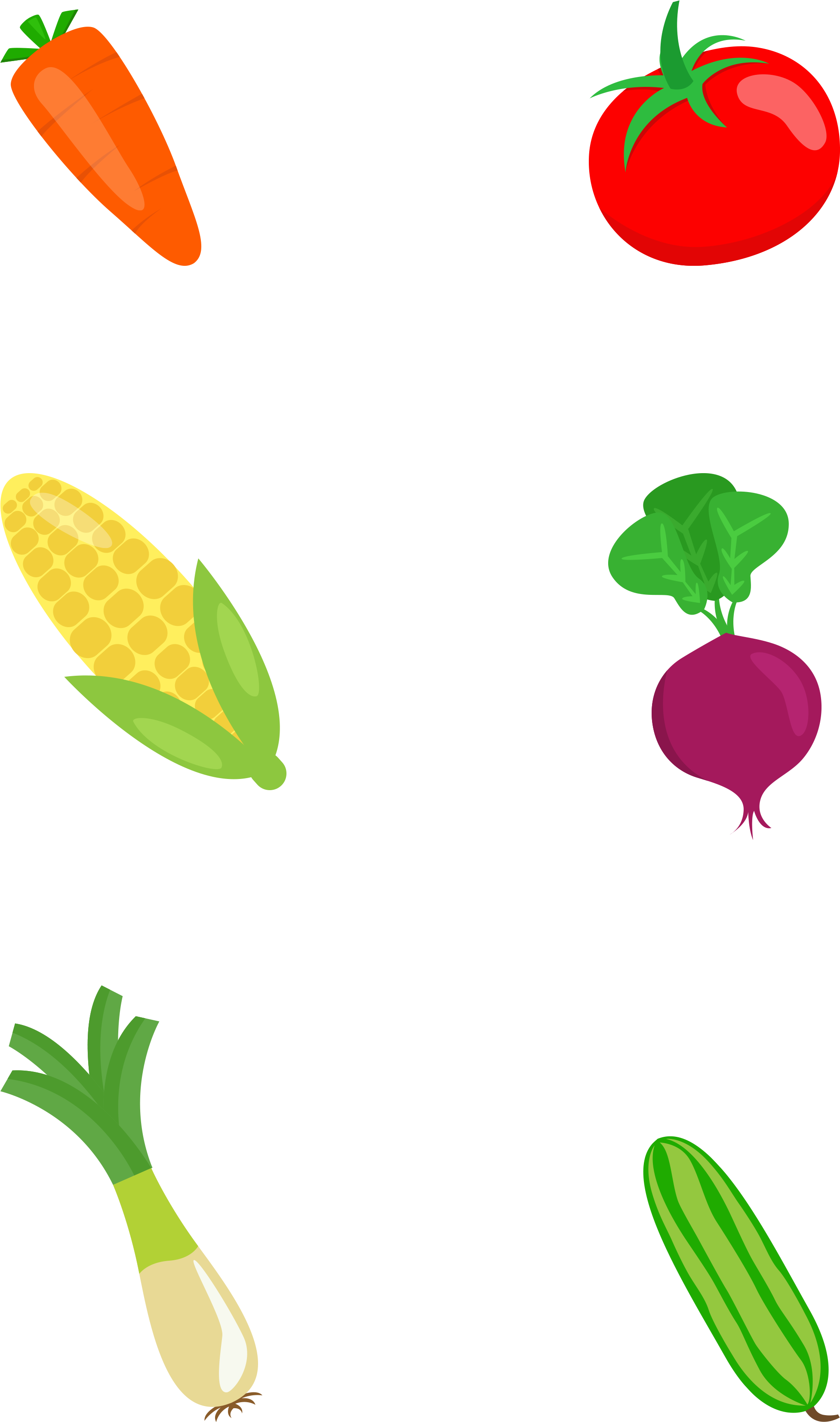 Flat Vegetable Colored Hand Drawn Png And Psd - Flat Vegetable Colored Hand Drawn Png And Psd (3072x4107)