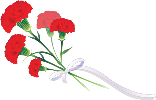 Carnation Photography - Carnation Photography (500x321)