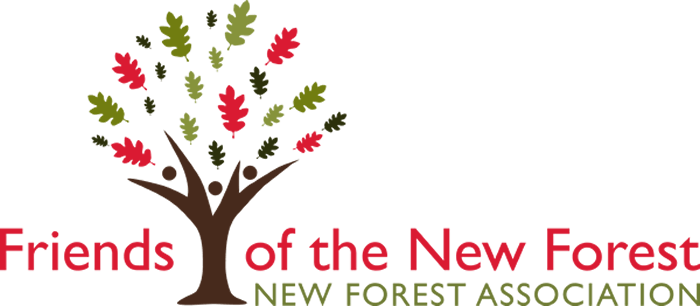 Friends Of The New Forest - Friends Of The New Forest (700x306)