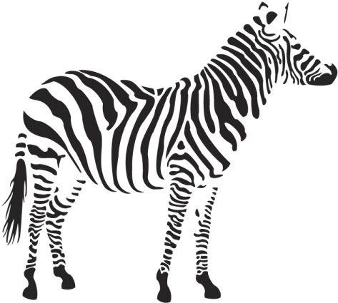 Free Png Download Zebra Png Images Background Png Images - Free Png Download Zebra Png Images Background Png Images (480x480)
