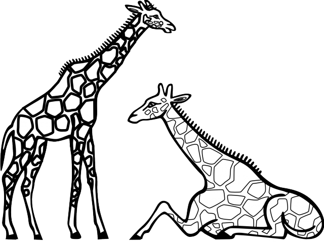 Zebra Clipart Transparent Background - Zebra Clipart Transparent Background (640x480)