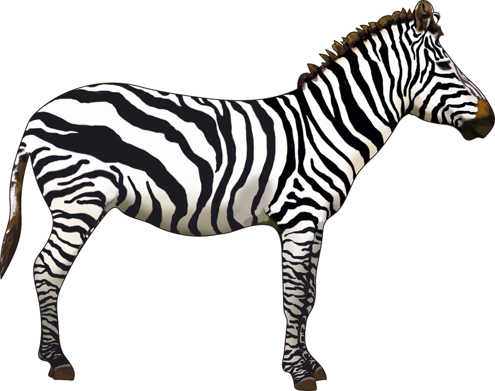 Which Animals Can You Name - Which Animals Can You Name (1000x790)