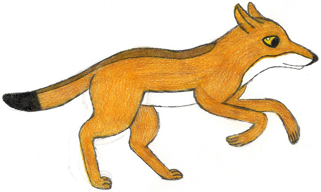 Anubis Clipart African Golden Wolf - Anubis Clipart African Golden Wolf (1020x611)
