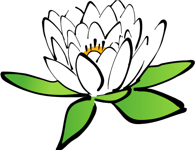 Leaf Easy Free On Dumielauxepices Net Flower Ⓒ - Leaf Easy Free On Dumielauxepices Net Flower Ⓒ (640x480)