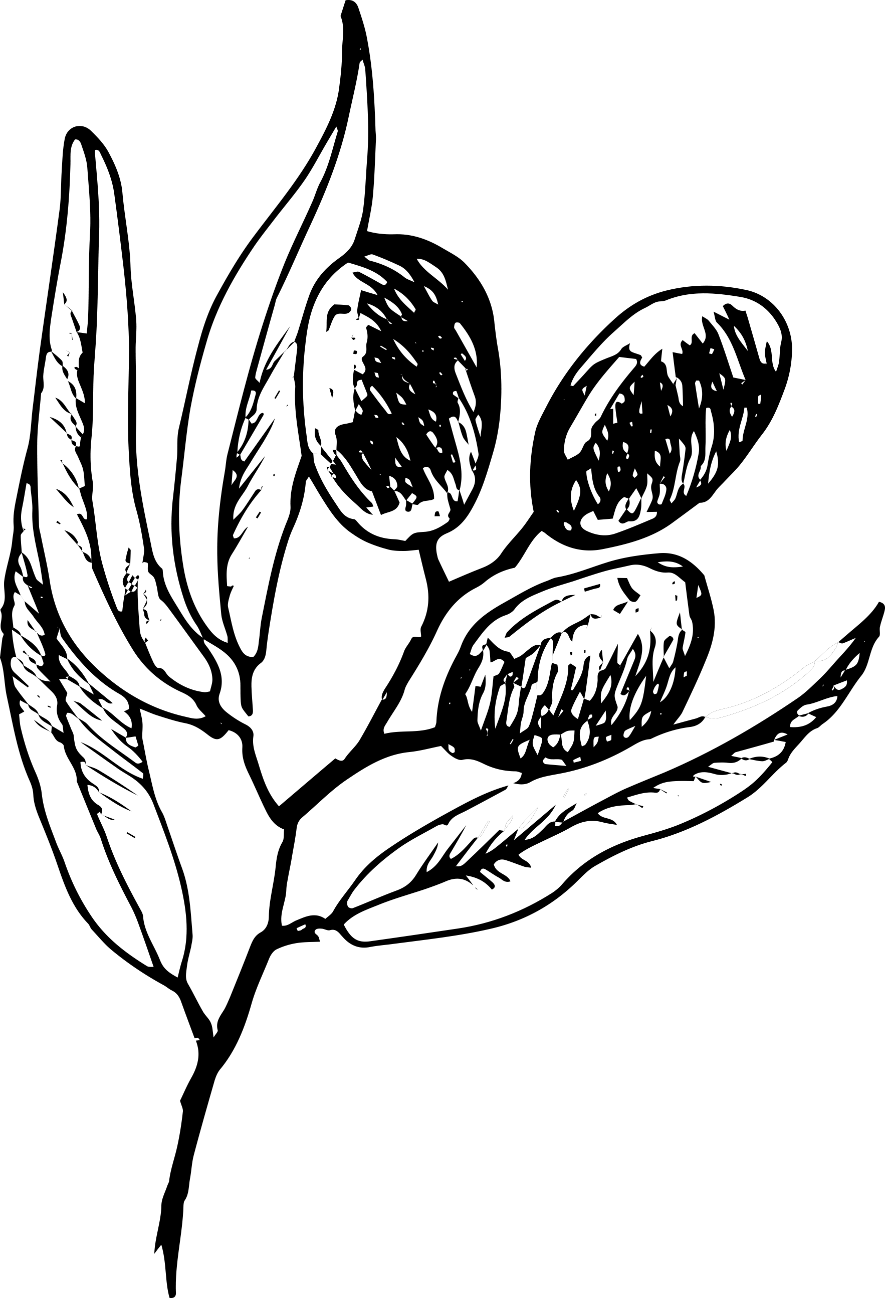 Real Nutrition By Kristin - Real Nutrition By Kristin (1766x2589)