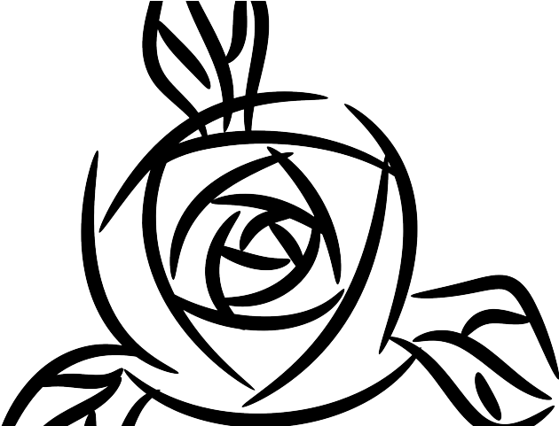 White Rose Clipart Real Flower - White Rose Clipart Real Flower (640x480)