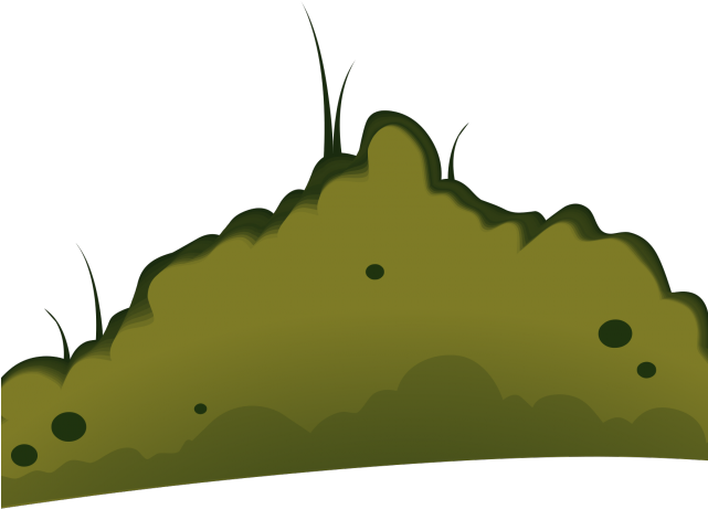 Moss Clipart Transparent - Moss Clipart Transparent (640x480)