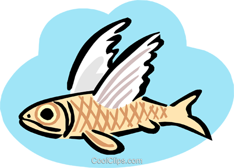Flying Fish Royalty Free Vector Clip Art Illustration - Flying Fish Royalty Free Vector Clip Art Illustration (480x344)