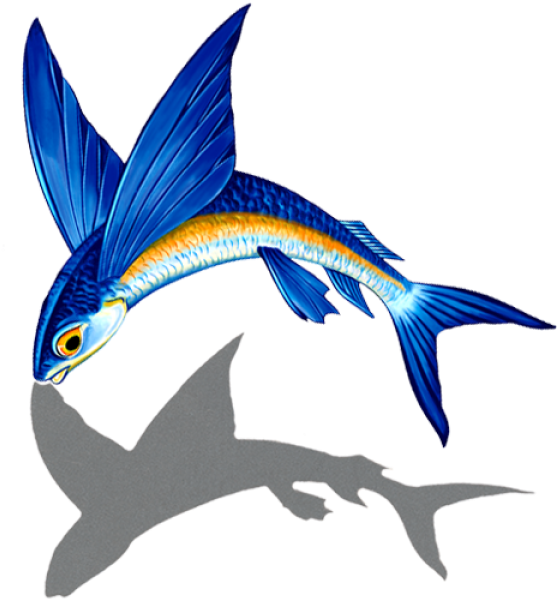 Porc Ff13r/sh 7"x8" Flying Fish A Reverse With Shadow - Porc Ff13r/sh 7"x8" Flying Fish A Reverse With Shadow (600x600)