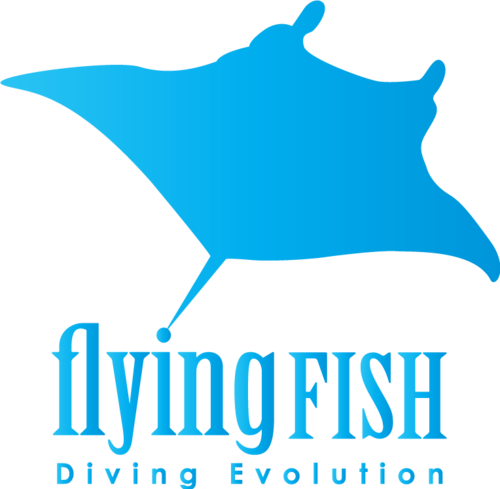 Flying Fish Diving - Flying Fish Diving (500x489)