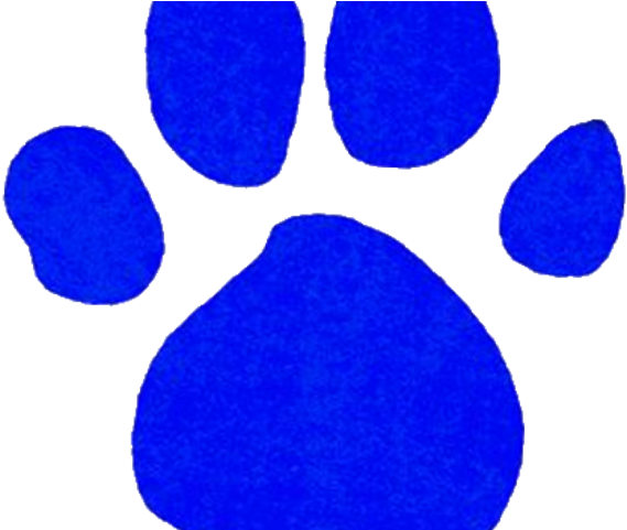 Paw Clipart Blues Clue 10 900 X 520 Free Clip Art Stock - Paw Clipart Blues Clue 10 900 X 520 Free Clip Art Stock (640x480)