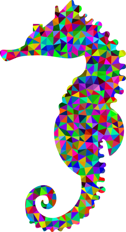 Drawing Seahorse Clip Art - Drawing Seahorse Clip Art (406x750)