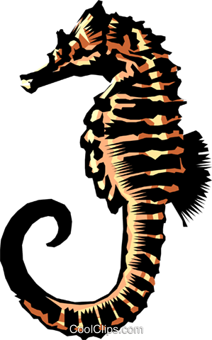 Sea Horse Royalty Free Vector Clip Art Illustration - Sea Horse Royalty Free Vector Clip Art Illustration (299x480)