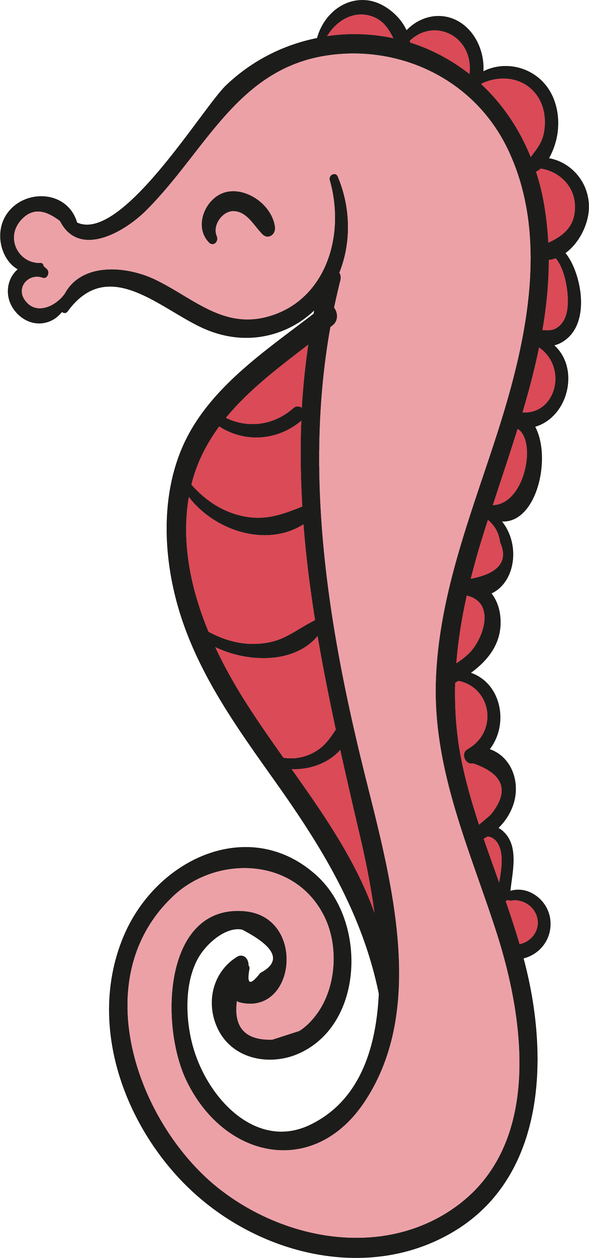 Seahorse Cartoon Animation Drawing Design - Seahorse Cartoon Animation Drawing Design (2064x4406)