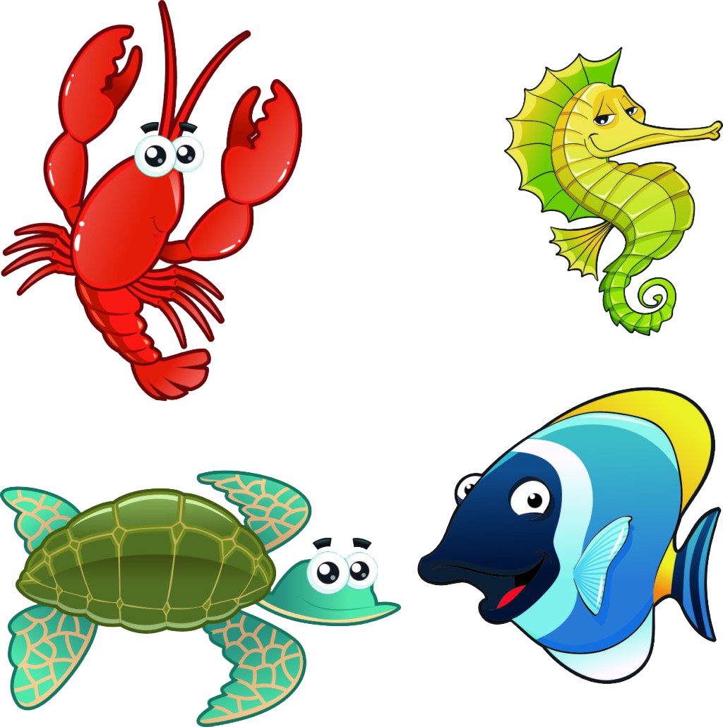 Aquatic Animal Marine Illustration Fish Aquarium Fishaquarium - Aquatic Animal Marine Illustration Fish Aquarium Fishaquarium (1024x1030)