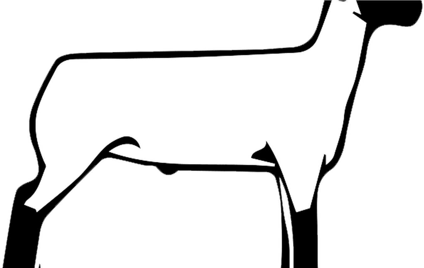 Free Show Lamb Clip Art Sheep Graphics Clublamb Images - Free Show Lamb Clip Art Sheep Graphics Clublamb Images (1368x855)