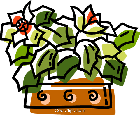 Christmas Poinsettia Royalty Free Vector Clip Art Illustration - Christmas Poinsettia Royalty Free Vector Clip Art Illustration (480x393)