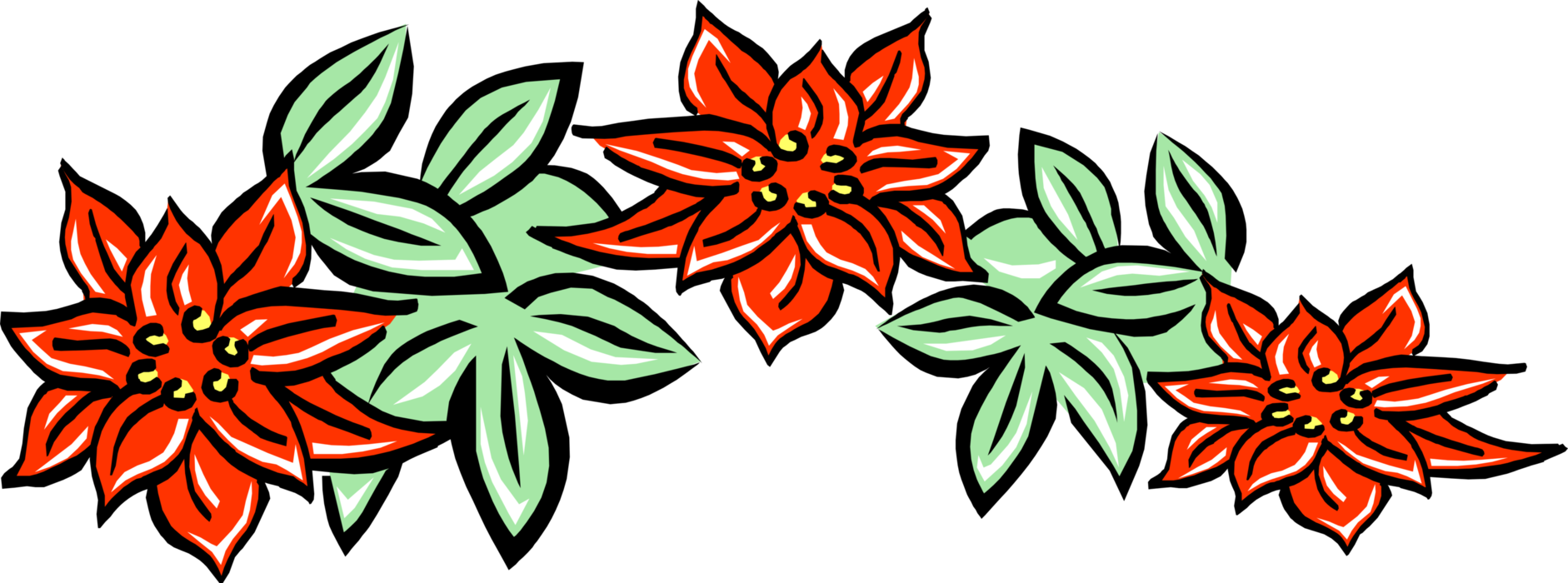 Vector Illustration Of Poinsettia Traditional Christmas - Vector Illustration Of Poinsettia Traditional Christmas (1882x700)