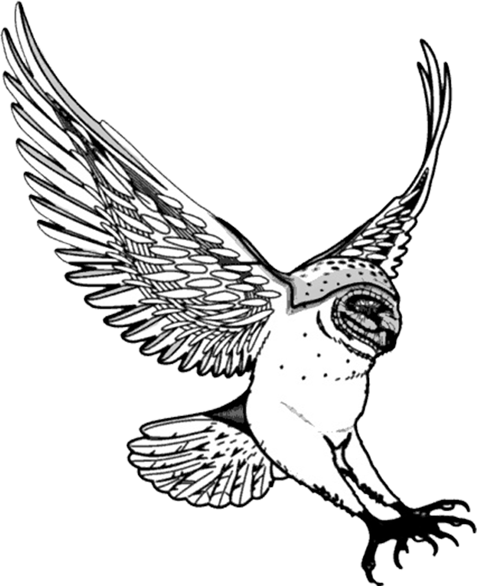 Swooping Owl Clip Art - Swooping Owl Clip Art (977x1200)