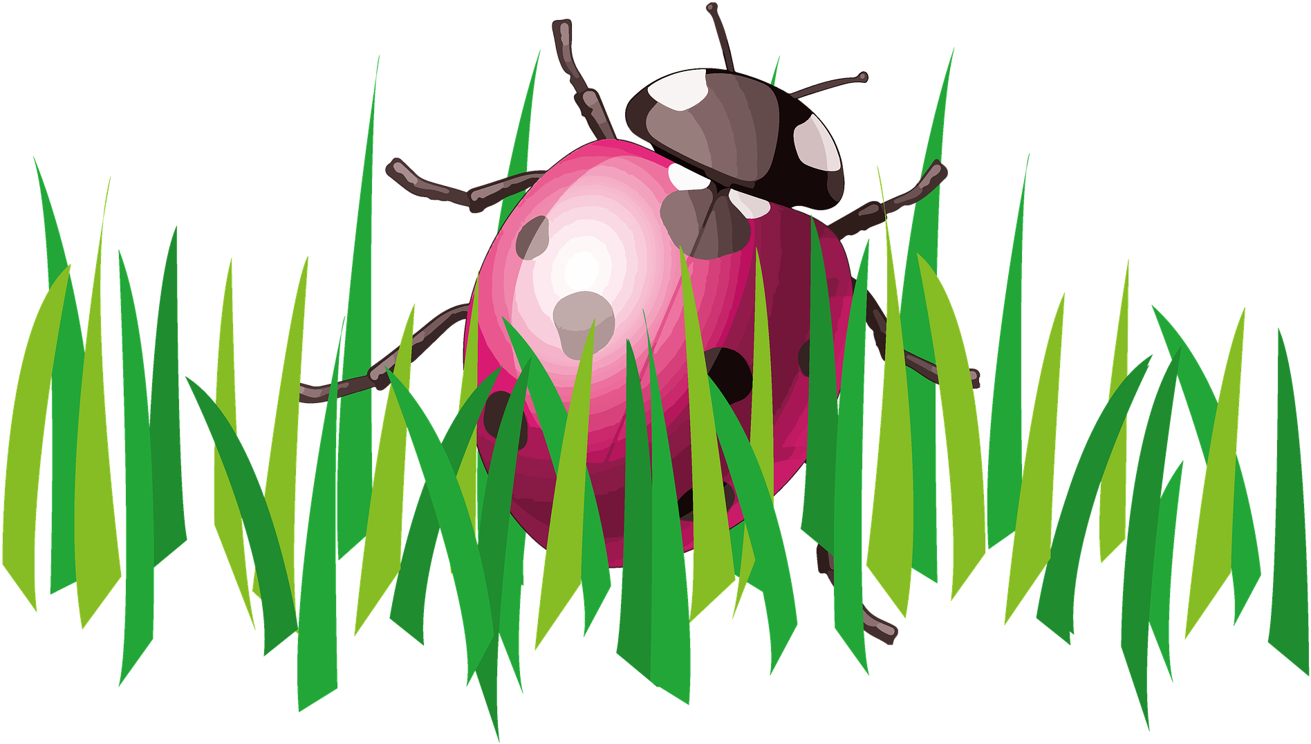 Grass Clipart Ladybug - Grass Clipart Ladybug (1920x1154)
