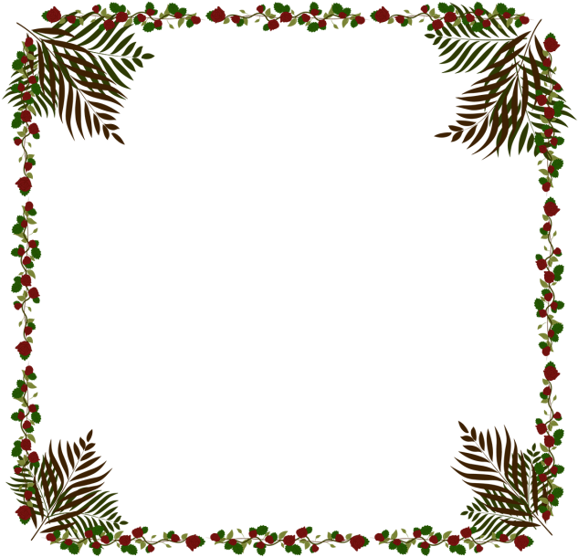 Beautiful Rose And Coconut Frame Vector Png - Beautiful Rose And Coconut Frame Vector Png (640x640)