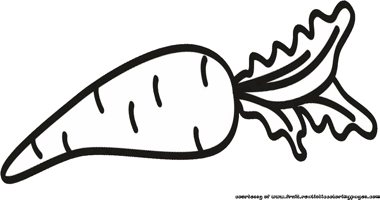 Fruits Clipart Carrot - Fruits Clipart Carrot (1253x658)