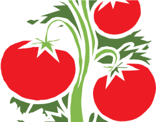 Vines Clipart Animated - Vines Clipart Animated (640x480)