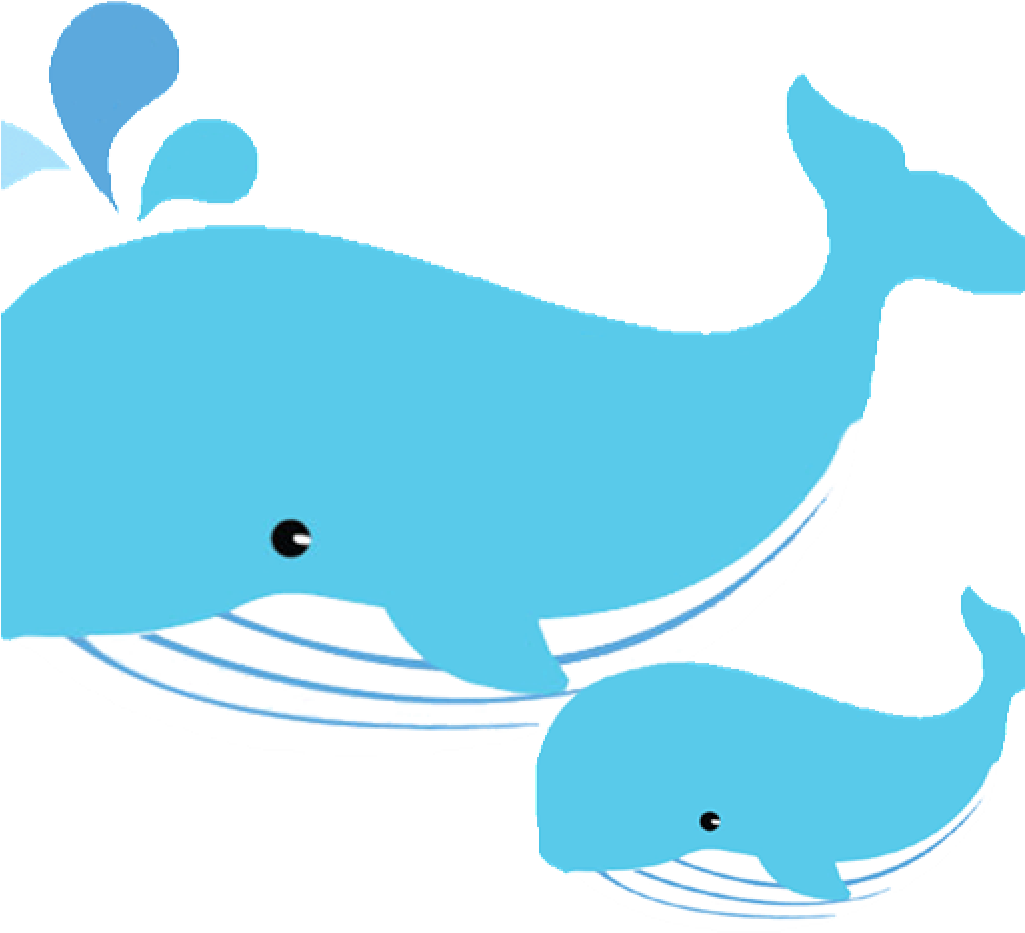 Whale Clipart Blue Whale Clipart At Getdrawings Free - Whale Clipart Blue Whale Clipart At Getdrawings Free (1024x1024)