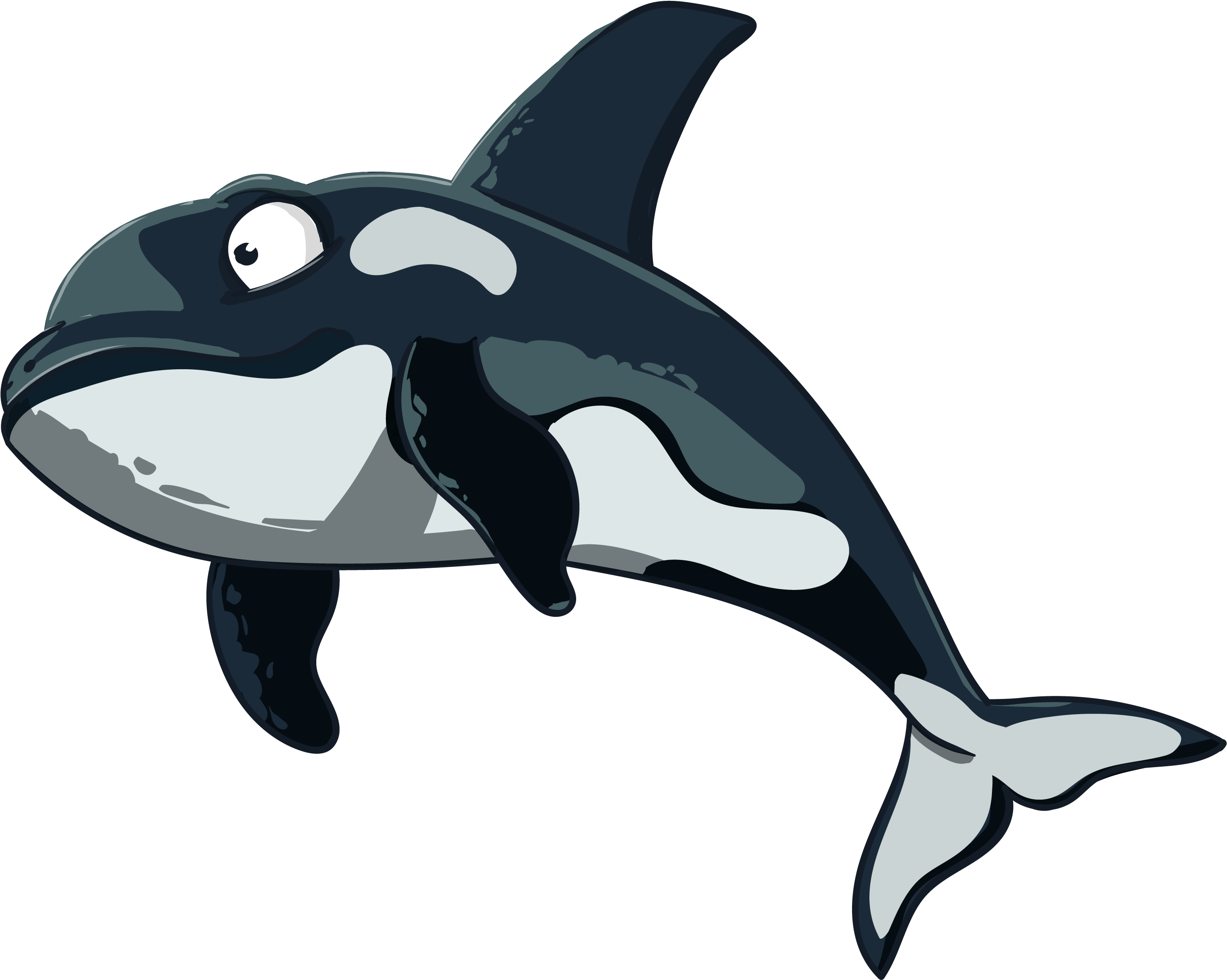 Killer Whale Clipart Cute Sea Creature - Killer Whale Clipart Cute Sea Creature (3000x2465)
