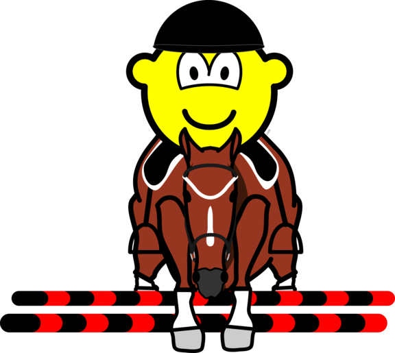 Horse Show Jumping Buddy Icon - Horse Show Jumping Buddy Icon (576x515)