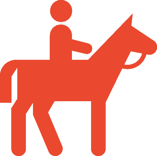 Horse Riding Lessons - Horse Riding Lessons (600x595)